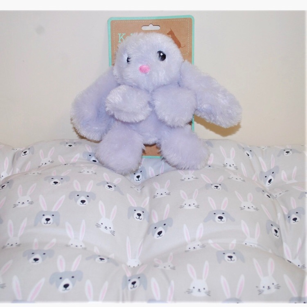 Easter Dog bed and toy